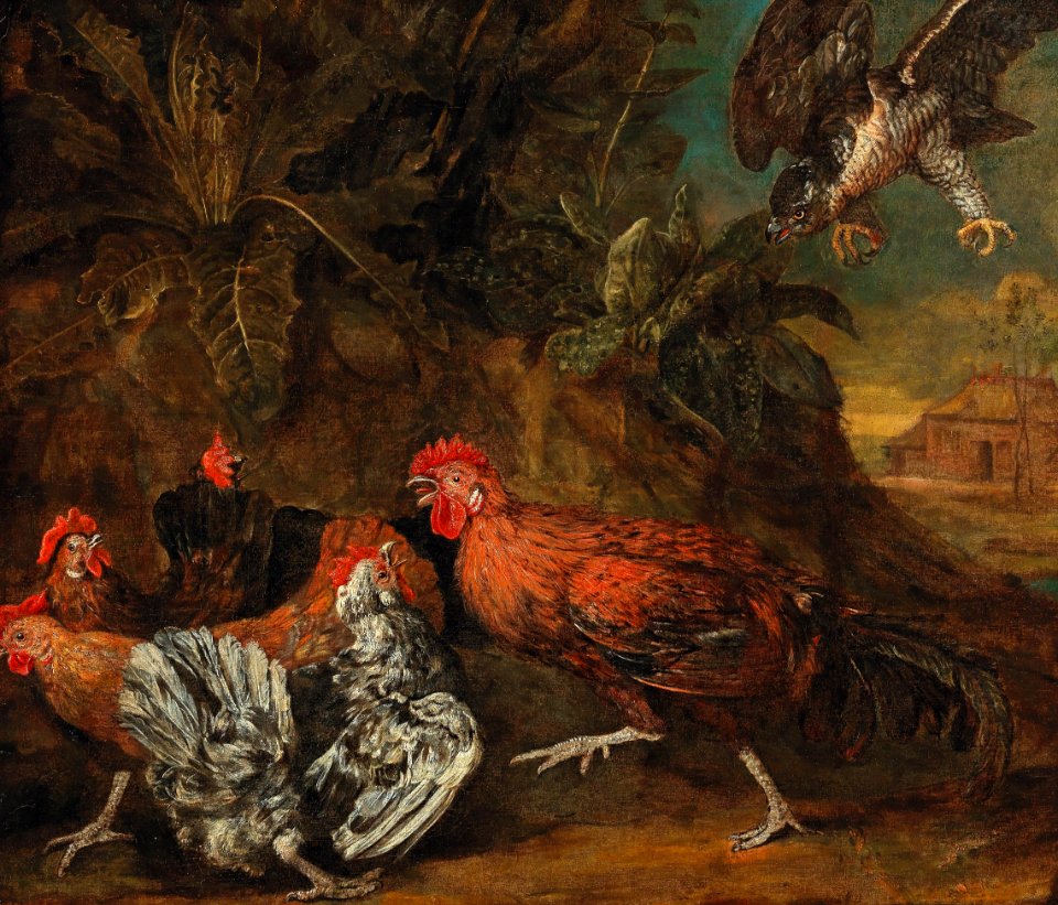 Circle of Melchior de Hondecoeter - Fowl attacked by a bird of prey. Free illustration for personal and commercial use.