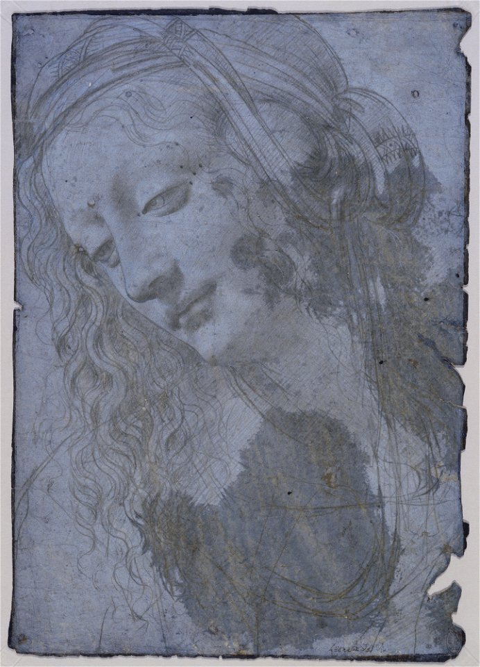 Circle of Leonardo da Vinci - RCIN 912510, The head and shoulders of a woman looking down c.1490