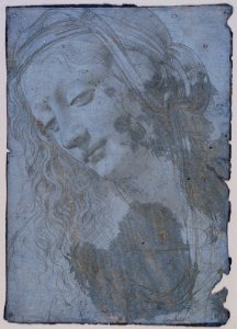 Circle of Leonardo da Vinci - RCIN 912510, The head and shoulders of a woman looking down c.1490