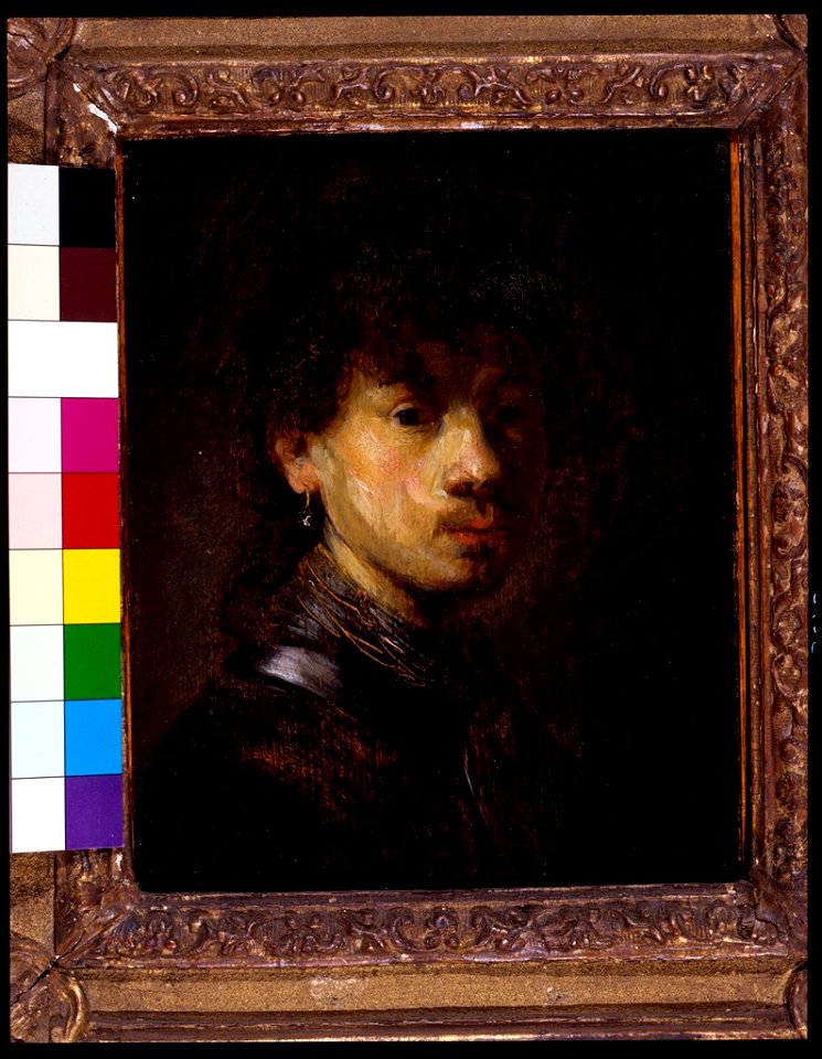 Circle of Rembrandt Harmensz. van Rijn - Bust of a Young Man - 1969.56 - Fogg Museum