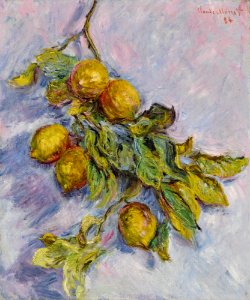 Citrons sur une branche by Claude Monet, oil