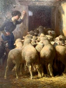 Sheep in Barn by Charles Clair, oil on canvas
