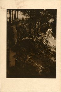 Clarence H. White - Boys Wrestling. Camera Work no. 23
