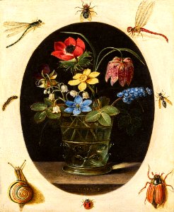 Clara Peeters - Still Life with Flowers in a Glass Vase Surrounded by Insects and a Snail 071L18033 9QMJJ