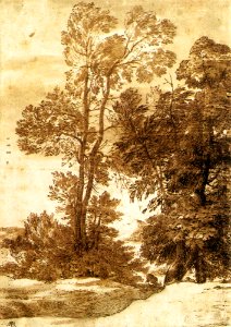 Claude Lorrain - Trees - WGA04991