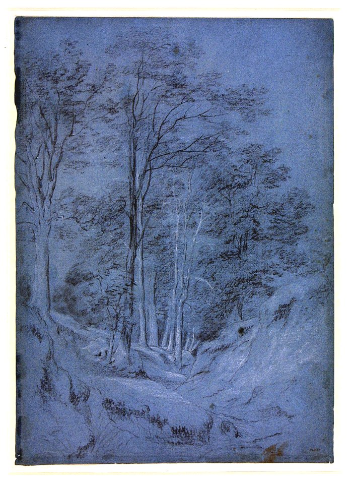 Constable - Study of Ash and other trees, 843-1888