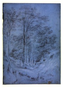 Constable - Study of Ash and other trees, 843-1888