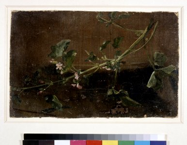 Constable - Study of ivy geranium. 1828, 1919,0415.7