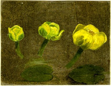 Constable - Study of three Waterlilies and two leaves, 1919,0415.10
