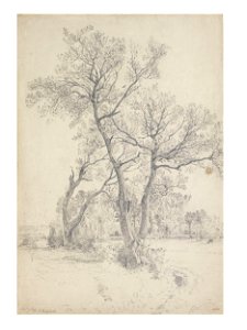 Constable - Trees at East Bergholt, 256-1888