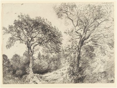 Constable - Trees in West End Fields, Hampstead, 270-1888