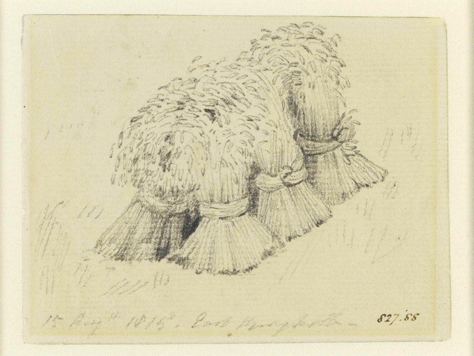 Constable - Wheatsheaves at East Bergholt, 827-1888