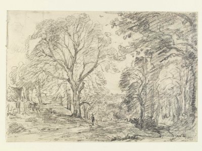 Constable - Trees in a lane at Staunton Harold, Leicestershire, 356-1888