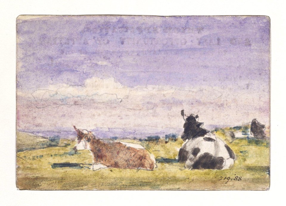 Constable - Study of cows at Hampstead, 219-1888
