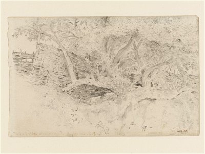 Constable - Trees and wattle hurdles at Hampstead, 310-1888