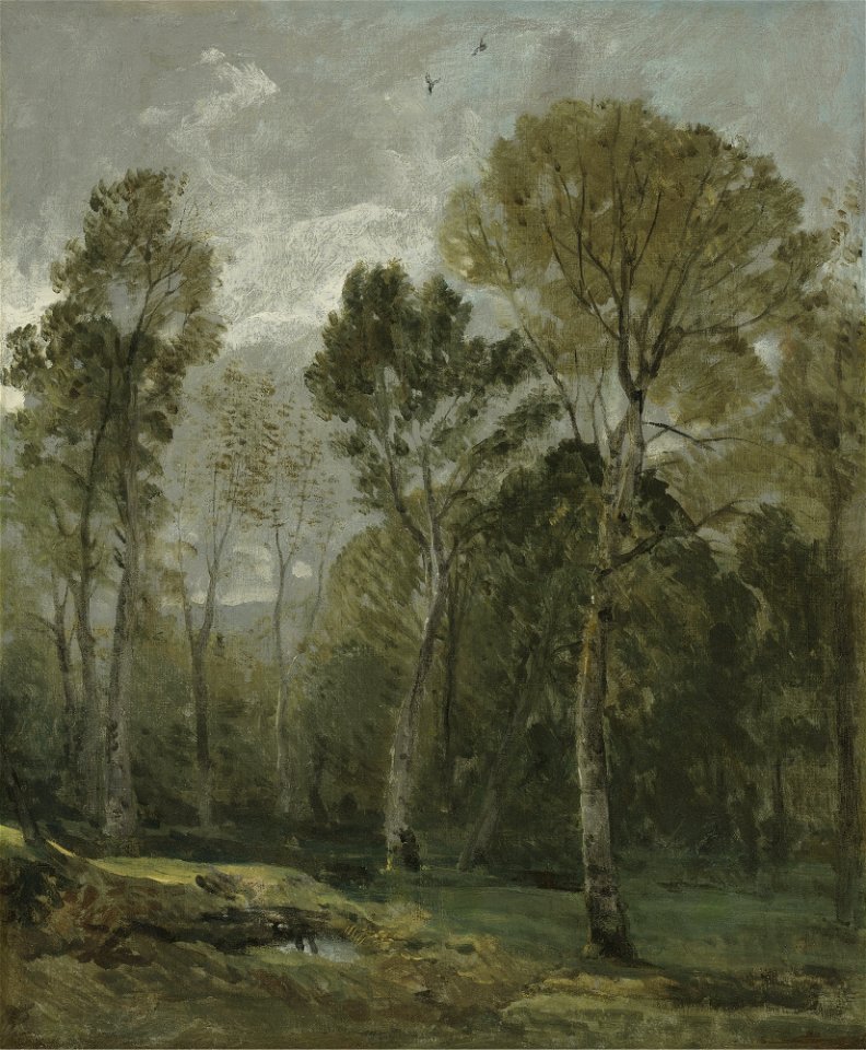 Constable - VIEW OF A COPSE, lot.372