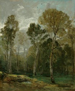 Constable - VIEW OF A COPSE, lot.372