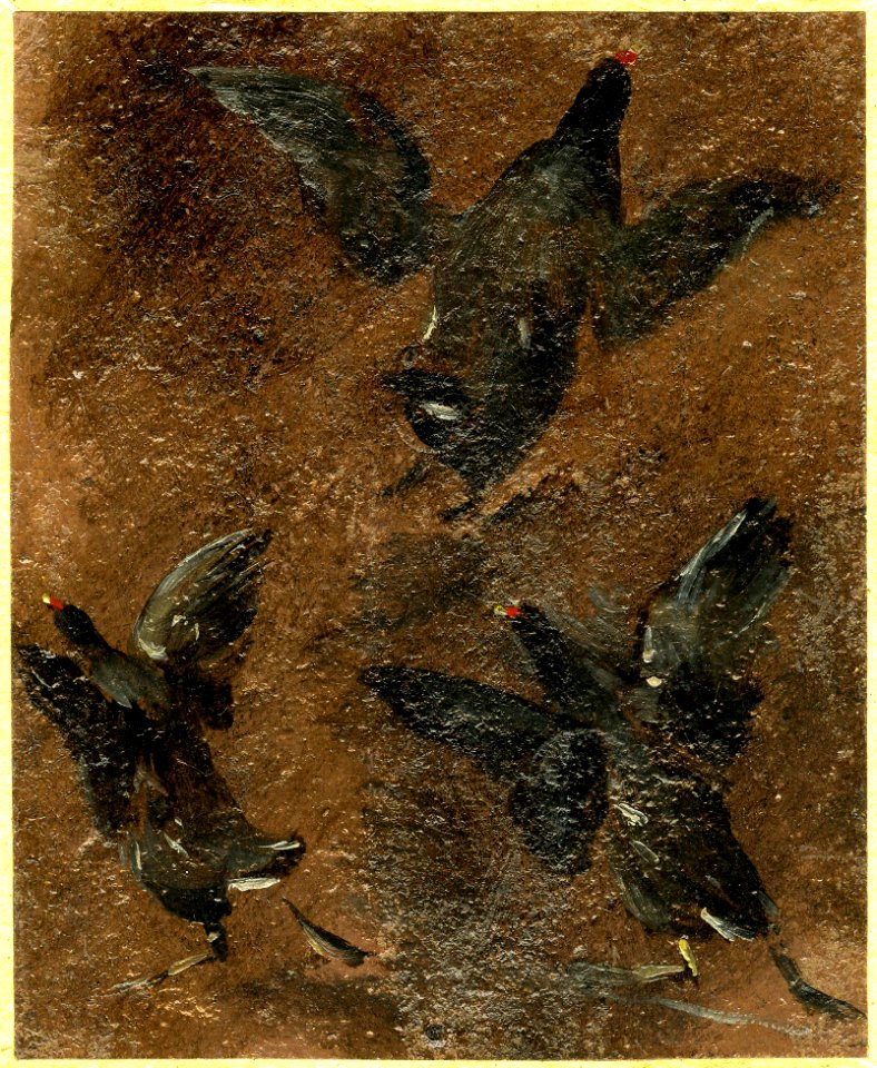 Constable - Three moorhens on the wing. 1824, 1919,0415.4