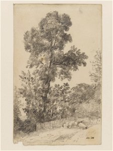 Constable - Trees at Hampstead, 821-1888
