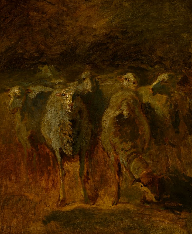 Constant Troyon - Unfinished Study of Sheep - 1894.1071 - Art Institute of Chicago