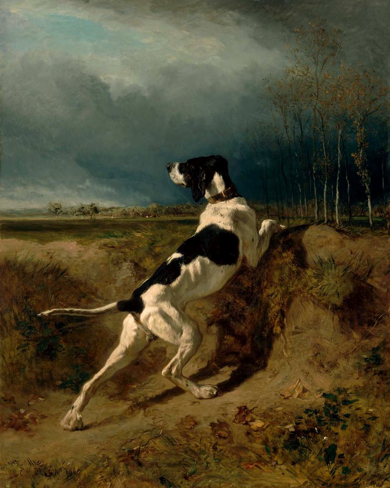 Constant Troyon - Hound Pointing - 24.345 - Museum of Fine Arts