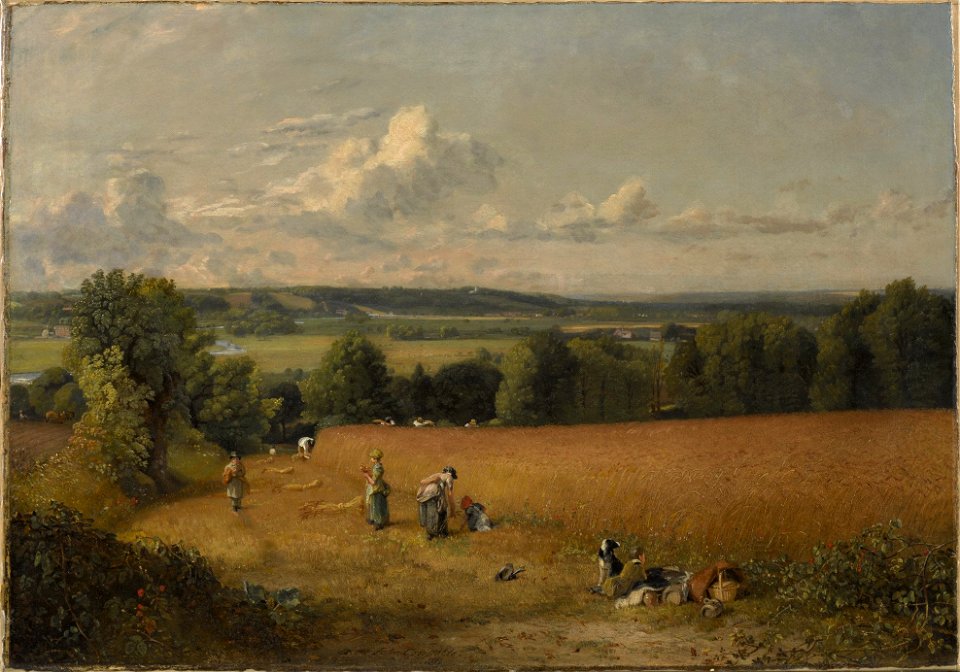 John Constable, The Wheat Field