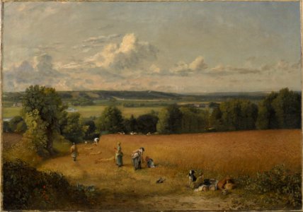 John Constable, The Wheat Field