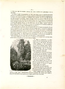 Contréxeville , Parc et rivière - Fonds Ancely - B315556101 A BERTHIER 087