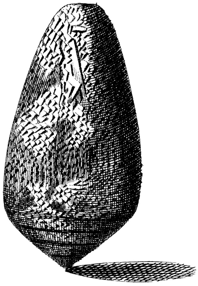 Conus-textile-001