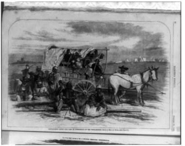 Contrabands coming into camp in consequence of the proclamation - drawn by Mr. A.R. Waud. LCCN92501365
