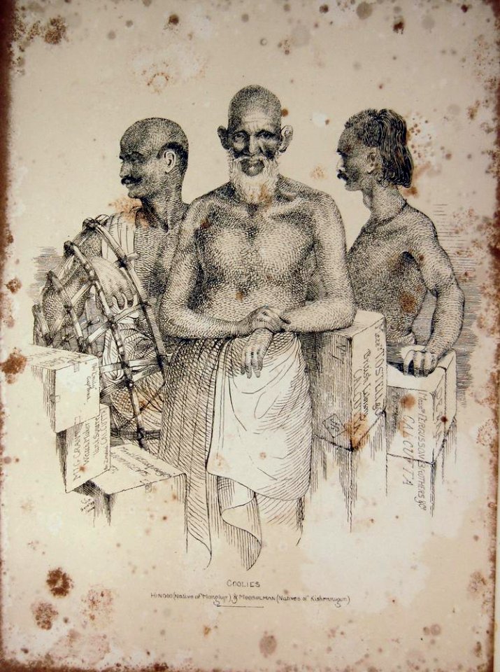 Coolies (BM As2006,Prt.291)