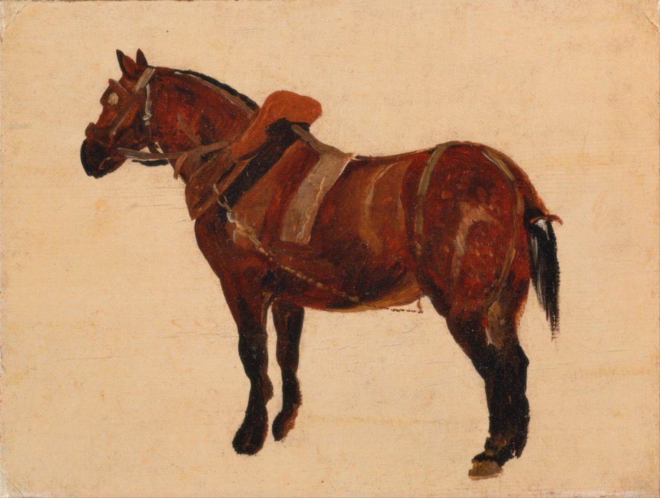 Thomas Sidney Cooper - Study of a Working Horse - Google Art Project