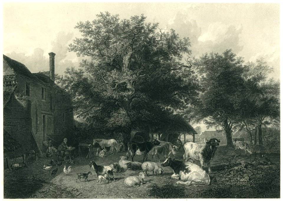 Cooper - La Cour de la Ferme - Steel Engraving
