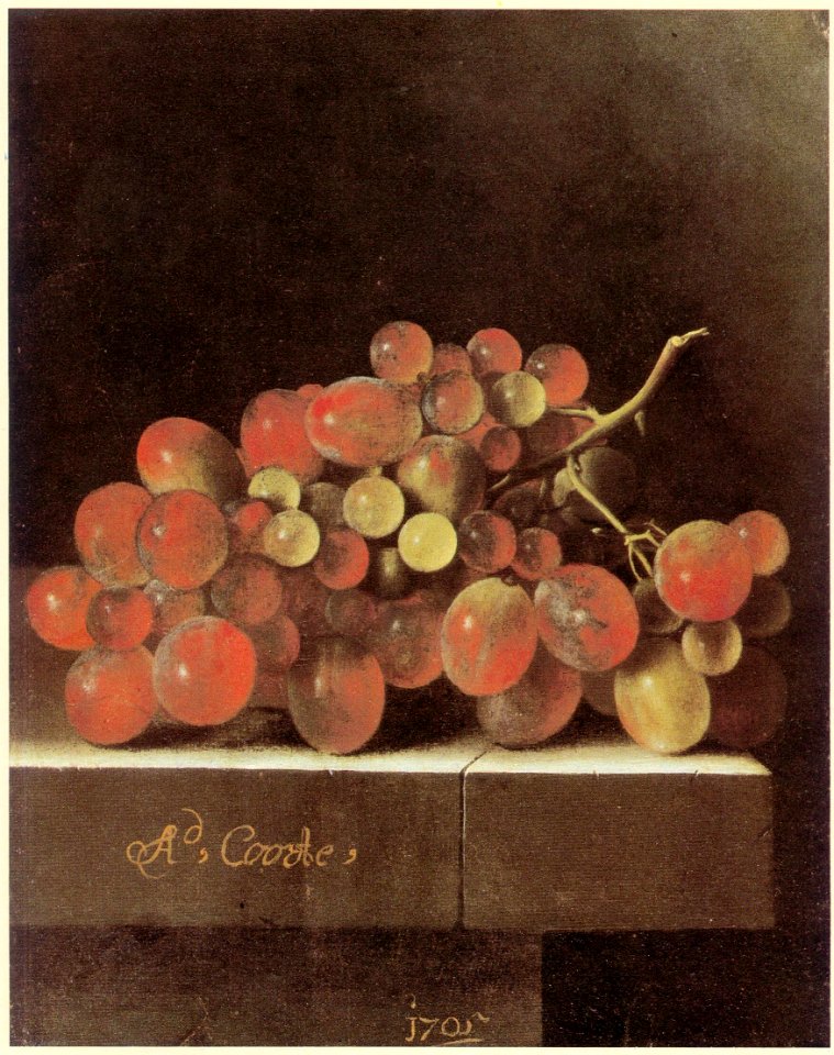 Adriaen Coorte - Grapes on a Stone Ledge 1705