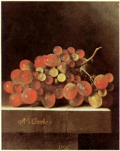 Adriaen Coorte - Grapes on a Stone Ledge 1705. Free illustration for personal and commercial use.