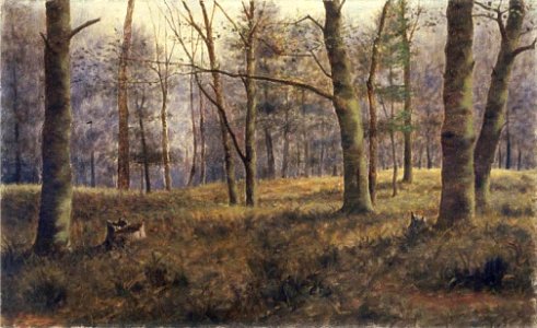 Untitled (Woodland scene) by Clarence Cook