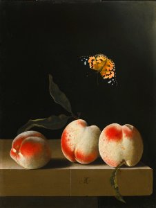 Adriaen Coorte - Three peaches on a stone ledge with a Painted Lady butterfly. Free illustration for personal and commercial use.