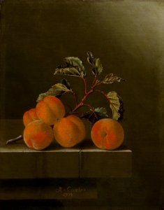 Adriaen Coorte - Still Life with Five Apricots