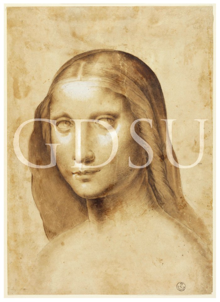 Copia da Leonardo da Vinci - inv 14961 F