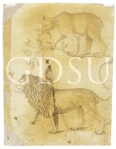 Copia da Uccello - inv 14503 F v
