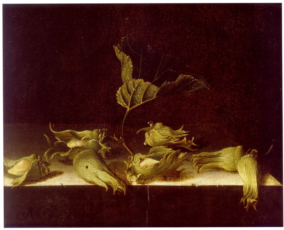 Adriaen Coorte - Still Life with Hazel-nuts
