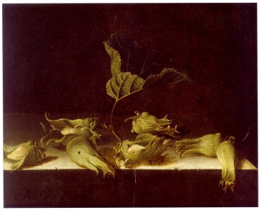Adriaen Coorte - Still Life with Hazel-nuts
