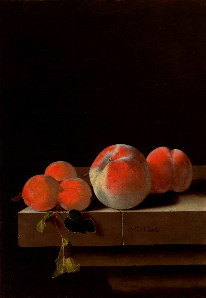 Adriaen Coorte - Perziken en abrikozen op een stenen richel