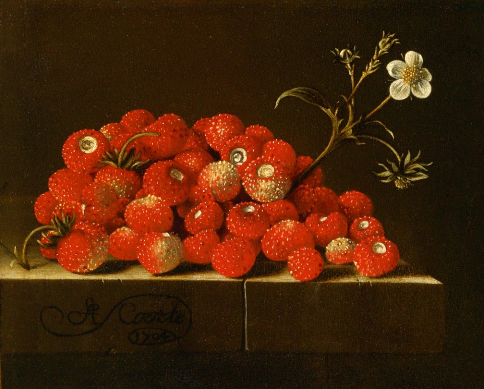 Wild strawberries on a ledge