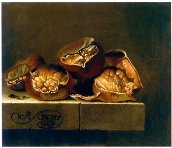 Adriaen Coorte - Chestnuts