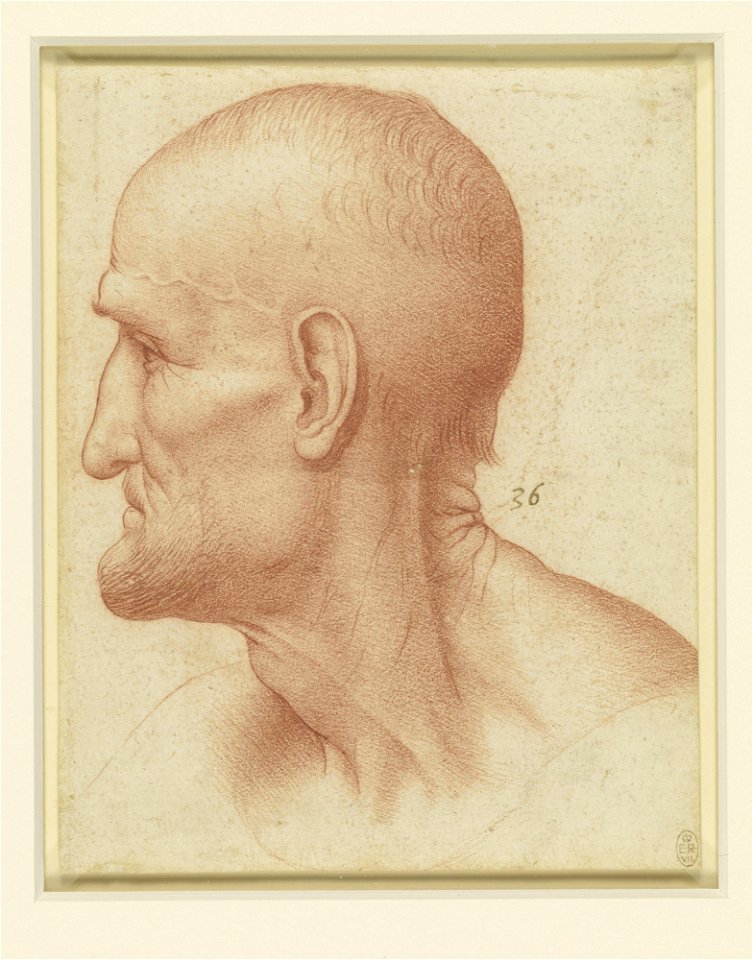 Copy after Leonardo da Vinci - RCIN 912549, The head of St Simon in the Last Supper c.1510-20