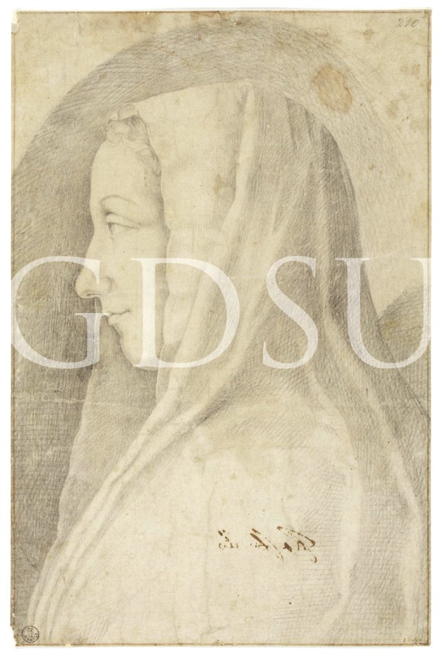 Copia da Leonardo da Vinci - inv 210 F