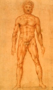 Copy after Leonardo da Vinci - RCIN 912595, A standing male nude c.1504-6