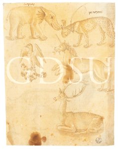 Copia da Uccello - inv 14503 F r