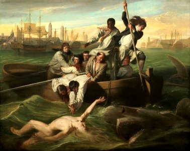 John Singleton Copley - Watson and the Shark (Washington, D.C.)